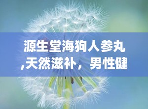 源生堂海狗人参丸,天然滋补，男性健康守护神”