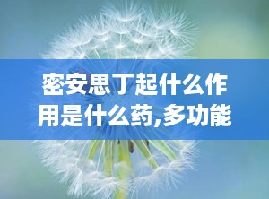 密安思丁起什么作用是什么药,多功能药物及其在脱发治疗中的应用”