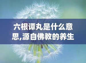 六根谭丸是什么意思,源自佛教的养生智慧，男性滋补佳品