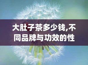 大肚子茶多少钱,不同品牌与功效的性价比分析”