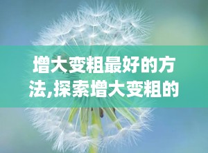 增大变粗最好的方法,探索增大变粗的终极秘籍
