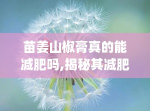 苗姜山椒膏真的能减肥吗,揭秘其减肥功效与科学使用方法