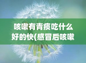 咳嗽有青痰吃什么好的快(感冒后咳嗽青痰怎么办)