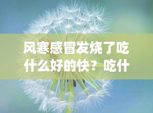风寒感冒发烧了吃什么好的快？吃什么消炎药和退热药