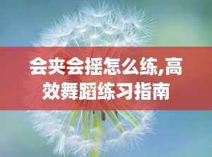 会夹会摇怎么练,高效舞蹈练习指南