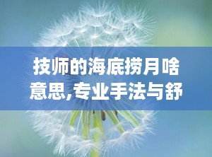 技师的海底捞月啥意思,专业手法与舒适体验的完美结合