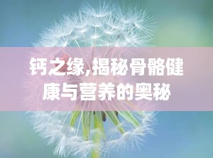 钙之缘,揭秘骨骼健康与营养的奥秘