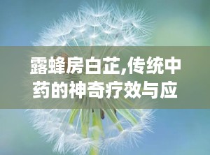 露蜂房白芷,传统中药的神奇疗效与应用