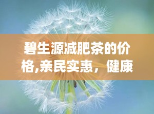 碧生源减肥茶的价格,亲民实惠，健康瘦身首选