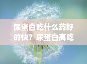尿蛋白吃什么药好的快？尿蛋白高吃什么药比较好