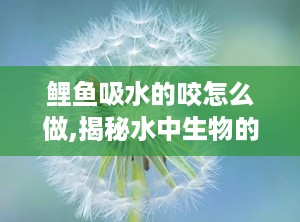 鲤鱼吸水的咬怎么做,揭秘水中生物的独特生存智慧
