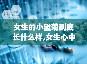 女生的小雏菊到底长什么样,女生心中的浪漫花语