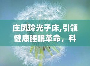 庄凤玲光子床,引领健康睡眠革命，科技与传统的完美融合”