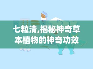 七粒清,揭秘神奇草本植物的神奇功效与养生之道