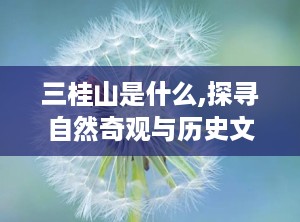 三桂山是什么,探寻自然奇观与历史文化的交融之地