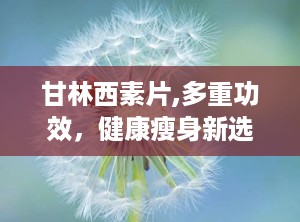甘林西素片,多重功效，健康瘦身新选择