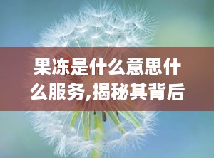 果冻是什么意思什么服务,揭秘其背后的服务与应用