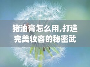 猪油膏怎么用,打造完美妆容的秘密武器