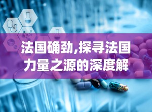 法国确劲,探寻法国力量之源的深度解析