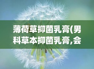 薄荷草抑菌乳膏(男科草本抑菌乳膏,会损伤龟头粘膜吗)