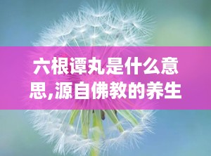 六根谭丸是什么意思,源自佛教的养生智慧，男性滋补佳品