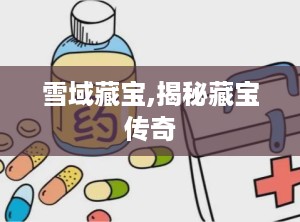 雪域藏宝,揭秘藏宝传奇