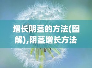 增长阴茎的方法(图解),阴茎增长方法图解概述