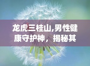 龙虎三桂山,男性健康守护神，揭秘其神奇配方与功效