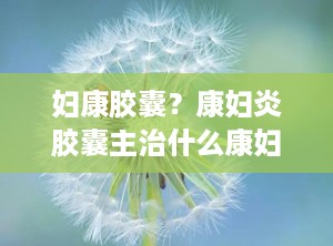 妇康胶囊？康妇炎胶囊主治什么康妇炎胶囊经期能吃吗