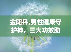 金阳丹,男性健康守护神，三大功效助力活力人生