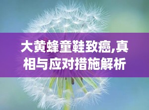 大黄蜂童鞋致癌,真相与应对措施解析