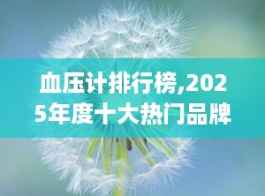 血压计排行榜,2025年度十大热门品牌盘点