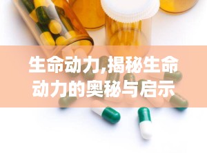 生命动力,揭秘生命动力的奥秘与启示