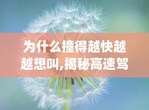 为什么撞得越快越越想叫,揭秘高速驾驶背后的心理诱惑”