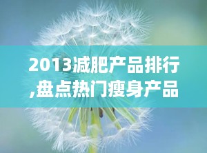 2013减肥产品排行,盘点热门瘦身产品及用户评价