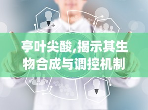 亭叶尖酸,揭示其生物合成与调控机制