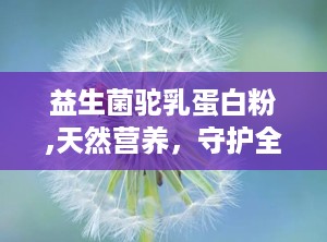 益生菌驼乳蛋白粉,天然营养，守护全家健康之道