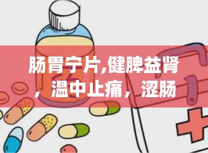 肠胃宁片,健脾益肾，温中止痛，涩肠止泻的胃肠疾病良药