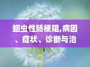 蛔虫性肠梗阻,病因、症状、诊断与治疗全解析