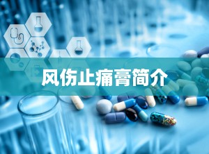 风伤止痛膏简介