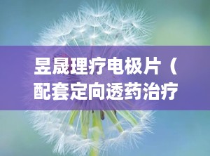 昱晟理疗电极片（配套定向透药治疗仪专用耗材）,创新科技助力定向透药治疗，提升康复理疗效果
