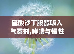 硫酸沙丁胺醇吸入气雾剂,哮喘与慢性阻塞性肺疾病患者的支气管痉挛缓解之道