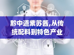 黔中道紫苏酱,从传统配料到特色产业的华丽蜕变”