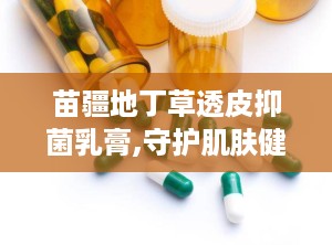 苗疆地丁草透皮抑菌乳膏,守护肌肤健康——透皮抑菌乳膏全面解析