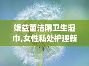 嫒益茵洁阴卫生湿巾,女性私处护理新选择，守护女性健康生活”