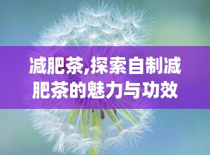 减肥茶,探索自制减肥茶的魅力与功效”