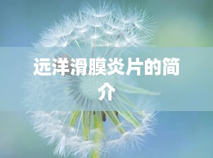 远洋滑膜炎片的简介