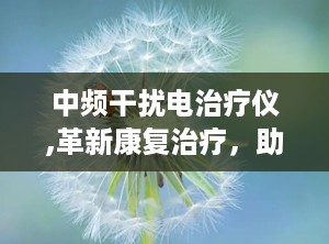 中频干扰电治疗仪,革新康复治疗，助力健康生活新篇章