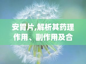 安胃片,解析其药理作用、副作用及合理用药指南