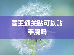 霸王通关贴可以贴手腕吗